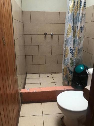 a bathroom with a shower with a toilet and a sink at Lagunillas Del Poas in Poasito