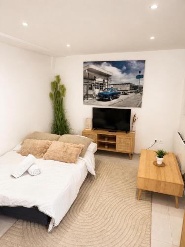 Duplex with private outdoor spa close to Strasbourg city center