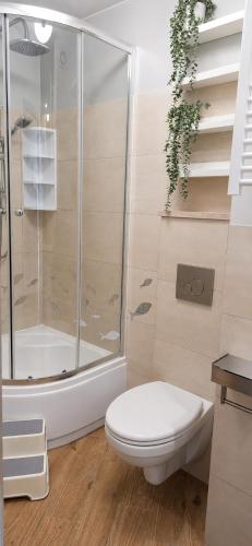 a bathroom with a toilet and a shower at Fairy- tale house in Przeróbka in Gdańsk
