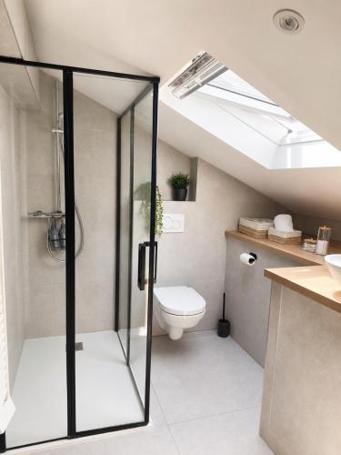 a bathroom with a toilet and a skylight at Duplex with private outdoor spa close to Strasbourg city center in Strasbourg