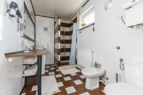 a bathroom with a toilet and a sink at Jantar, dom blisko plaży z sauną in Jantar