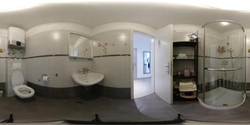 a bathroom with a sink and a shower and a toilet at Apartma Sparkle in Koper