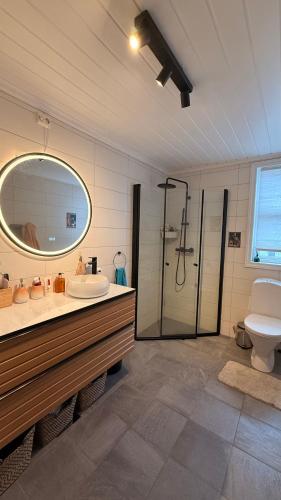 a bathroom with a shower and a sink and a toilet at Asanzo Historic Attic-Traditional Norwegian Home & Warm Indian Hospitality in Stavanger