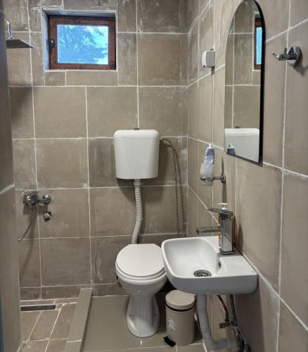 a bathroom with a toilet and a sink at EmiliJana House in Dolna Matka