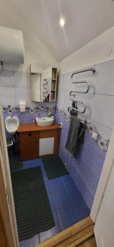 a bathroom with a sink and a toilet at Sodyba pas Babą - namas KLASIKA in Palanga
