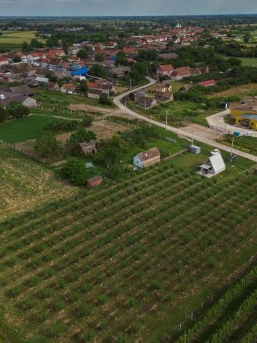 an aerial view of a vineyard in a town at Vikendica Vukasin in Zasavica Prva