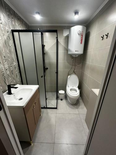 a bathroom with a shower and a toilet and a sink at Green Village in Balqash