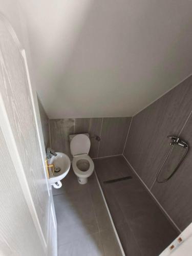 a small bathroom with a toilet and a sink at Peščani breg in Banatski Karlovac