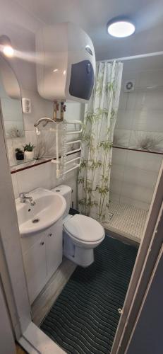 a small bathroom with a toilet and a sink at Sodyba pas Babą - Apartamentai "EGLYNAS" Šventoji in Palanga