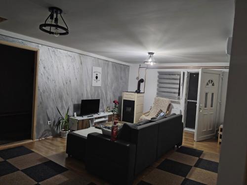 a living room with a couch and a television at Apartman Dunav Plus in Donji Milanovac