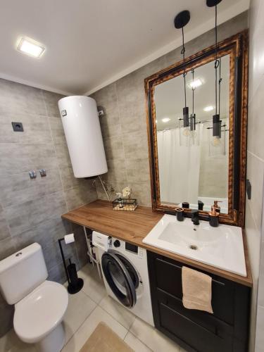a bathroom with a sink and a toilet and a mirror at Apšuciema Birzīši in Apšuciems