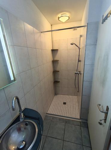 a bathroom with a shower and a sink at Zimmer oberhalb Kreuzlingen in Kreuzlingen