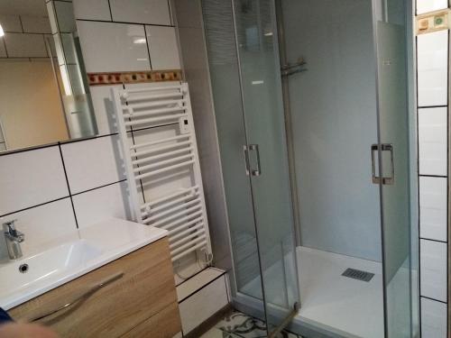 a bathroom with a shower and a sink at Le Flocon in Prémanon