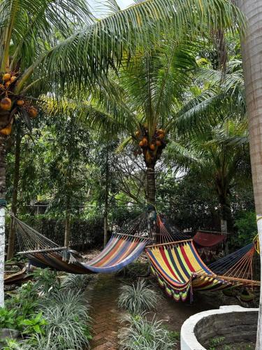 two hammocks in a garden with palm trees at Quinta Gualca in Condega
