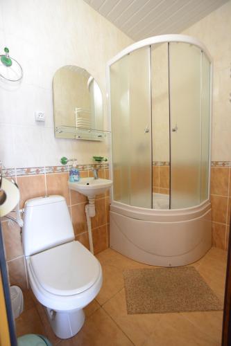 a bathroom with a shower and a toilet and a sink at Cottage Kurshevel in Slavske