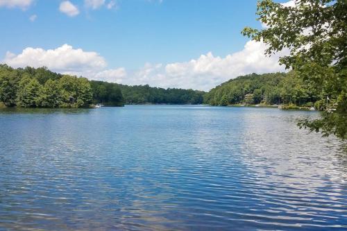 a view of a lake with trees in the background at The Nunv Cabin in Brevard
