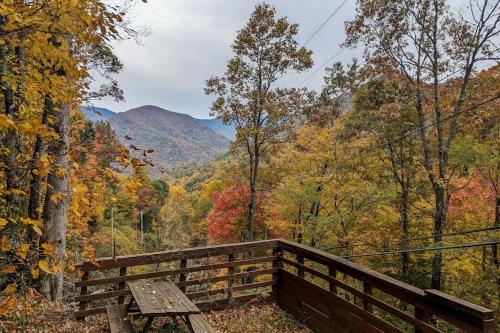 a wooden bench sitting in the middle of a forest at Elk Valley Lodge in Maggie Valley
