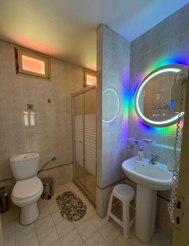a bathroom with a toilet and a sink and a mirror at Ta Kalamakia Apartments in Vatera