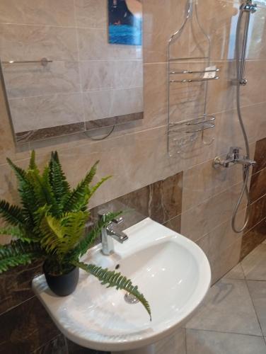 a bathroom with a sink with a plant on it at Résidence Prestige KGV Appt 302 in Douala