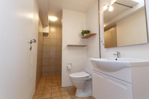 La salle de bains est pourvue d'un lavabo, de toilettes et d'un miroir. dans l'établissement Give Apartment, à Billund