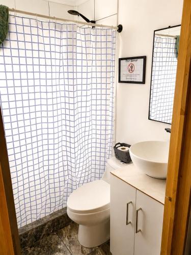 a bathroom with a toilet and a sink at Cabaña bosquepaz in Algarrobo