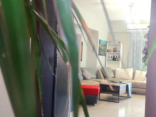 COMFORT center HOUSE