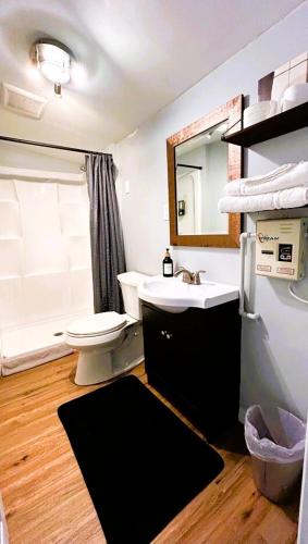 a bathroom with a sink and a toilet and a mirror at The Perfect One Night Stay in Jacksonville