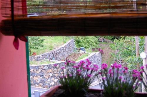 a window view of a garden with purple flowers at Villa Giuanne in Arenzano