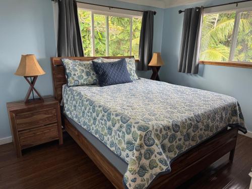 a bedroom with a bed with blue walls and windows at Hana Homestead in Hana