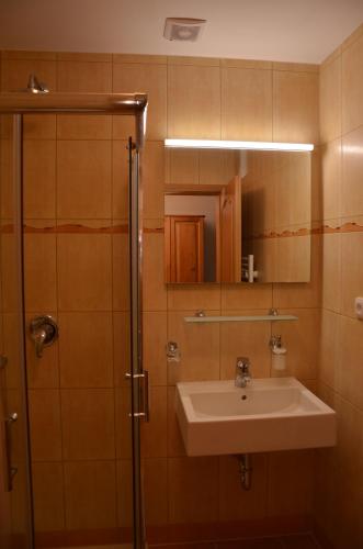 a bathroom with a sink and a shower at Haus Tolštejn in Jiřetín pod Jedlovou