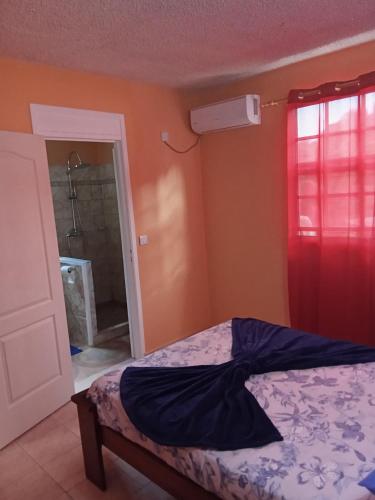 a bedroom with a bed and a window at Cassiane Apartments in Thibaud