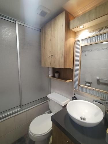 a bathroom with a white toilet and a sink at DEPARTAMENTOS TERMAS DE CHILLAN in Nevados de Chillan