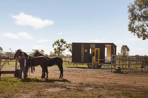 a man and two horses standing in front of a trailer at Kookaburra Retreat by Tiny Away in Arcadia