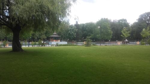 Jardí fora de Central Park Studio