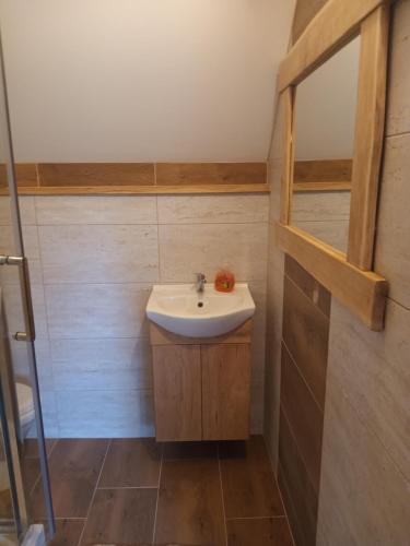 a small bathroom with a sink and a mirror at Noclegi ''U Wandy'' in Polańczyk