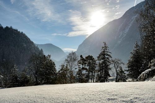 a snow covered hill with trees and mountains in the background at Landhaus Ambachhof in Oetz