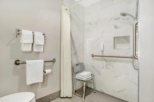 a bathroom with a shower and a toilet at Econo Lodge Tallahassee Downtown - University in Tallahassee