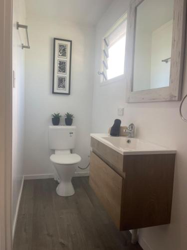 a bathroom with a toilet and a sink and a mirror at Studio self-contained and recently renovated in Avarua