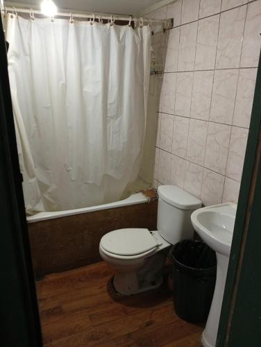 a bathroom with a toilet and a sink and a shower at Pensión San Andrés in Concepción