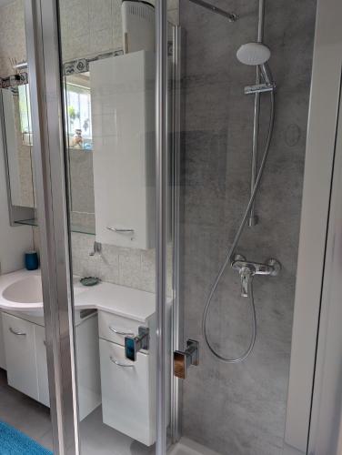 a bathroom with a shower with a toilet and a sink at Ferienwohnung am Waldrand, Hitzacker in Hitzacker