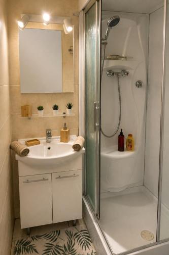 a bathroom with a shower and a sink and a shower at Cosy Green in Waulsort