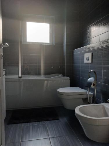a bathroom with a tub and a toilet and a sink at VILLa LIKA A NNEX in Plitvička Jezera