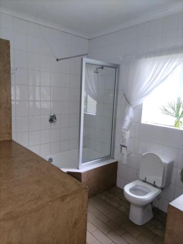 a bathroom with a toilet and a shower with a window at Eskulaap Hotel in Polokwane