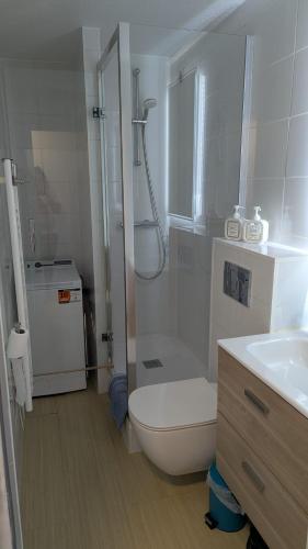 a bathroom with a shower and a toilet and a sink at Le Panoramic Evian in Évian-les-Bains
