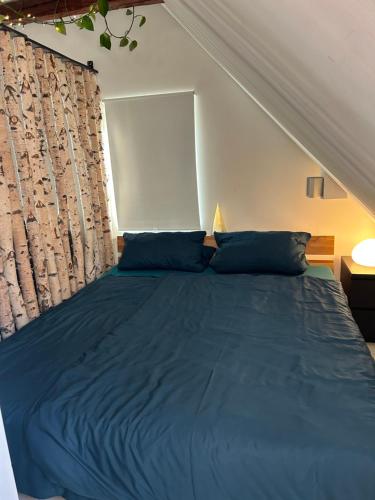 a bed with blue pillows in a bedroom at Charmantes und geräumiges Loft im DG eines Fachwerkhauses in Dortmund