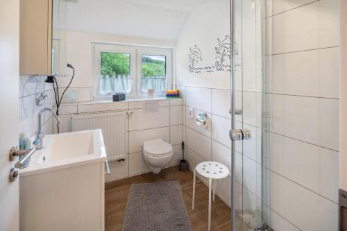 a bathroom with a toilet and a sink and a shower at Ferienhaus Maag, 102qm in Attendorn