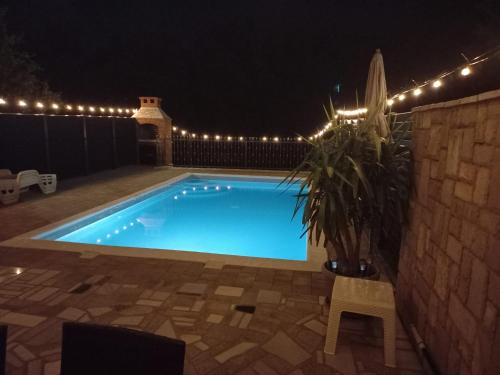 a swimming pool at night with lights and a plant at Villa Paradise On The River in Blagaj