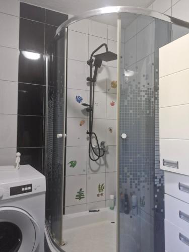 a shower with a glass door in a bathroom at Makedonium 1 in Struga