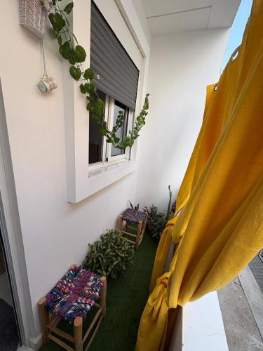a room with chairs and a window with plants at Martil in Martil