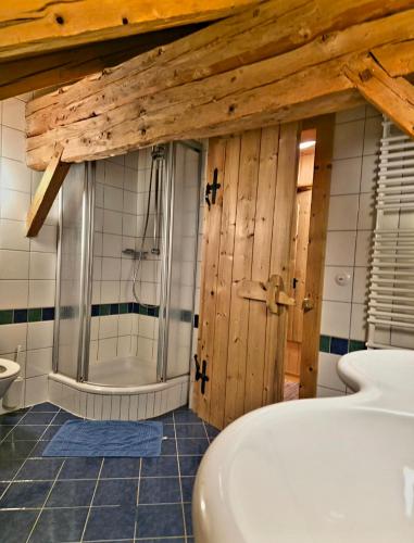 a bathroom with a shower and a toilet at DIRNDL Kammer in Abtenau